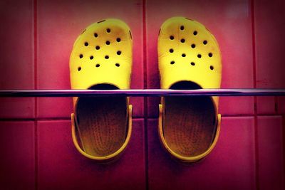 Close-up of yellow flower