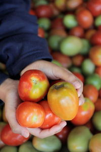 Close-up of hand holding fruits