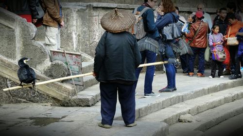 Rear view of fisherman with cormorant against people in steps