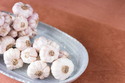 High angle view of various flowers on table