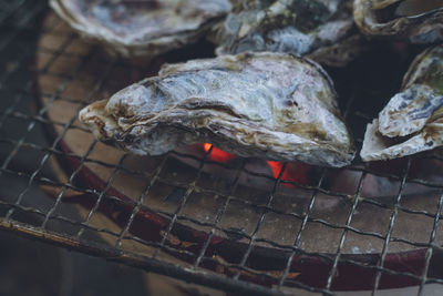 Charcoal-grilled barbecue of raw oysters on the shell in shichirin with charcoal