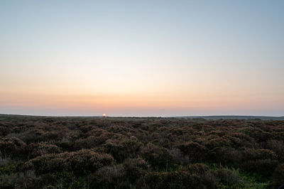 Scenic view of sea against clear sky during sunset