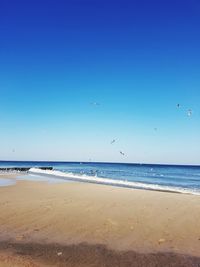 Scenic view of beach against blue sky