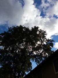 Low angle view of trees against cloudy sky