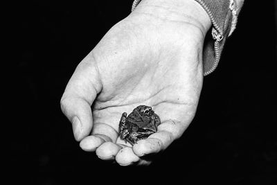 Close-up of hand holding small over black background