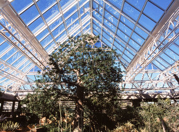 Low angle view of skylight