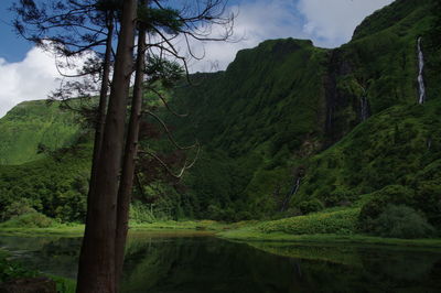 Scenic view of trees and mountains against sky