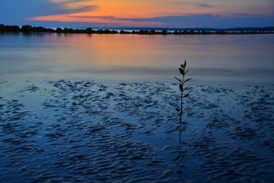Scenic view of lake against sky during sunset