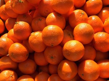 Full frame shot of oranges