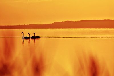 Silhouette people on boat in lake against orange sky