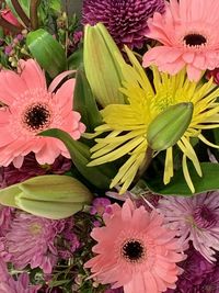 High angle view of pink flowering plant