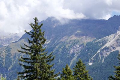 Scenic view of tree mountains against sky
