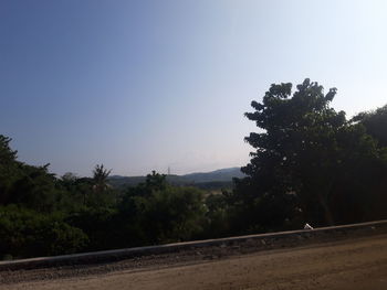 Trees by road against clear sky