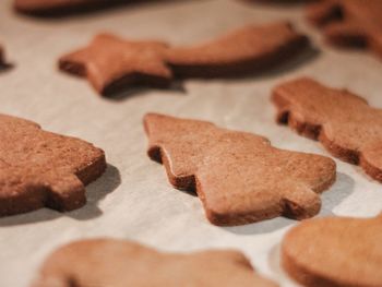 Close-up of cookies on table