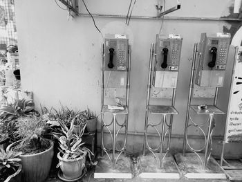 Potted plants on old building