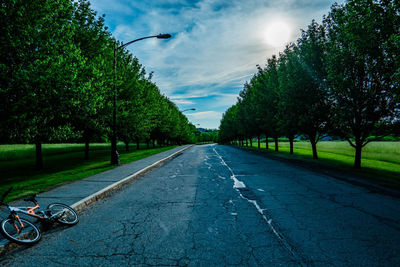 Bicycle fallen on roadside amidst trees growing against sky