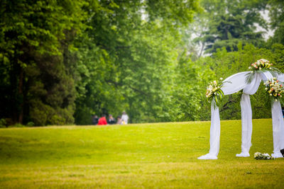 Decoration on grass land against trees in forest