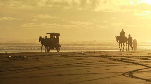 People riding horse on beach against sky