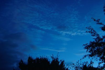 Silhouette of tree against cloudy sky