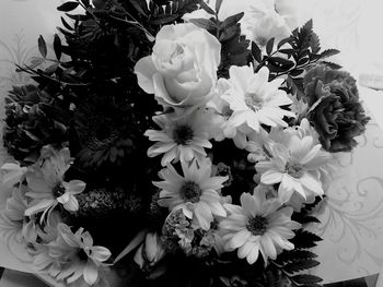 Close-up of white flowers blooming outdoors