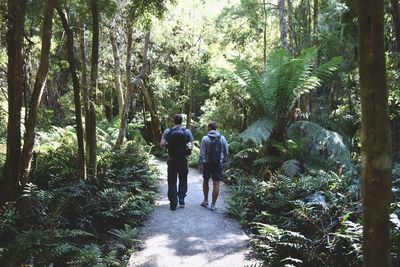 Rear view of people walking in forest