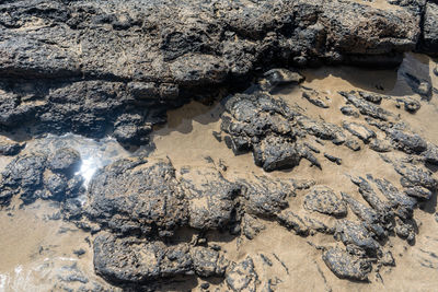 High angle view of rocks on beach