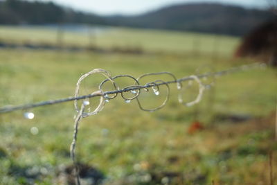 Close-up of water drop on land