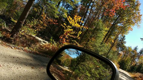 Car on road