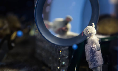 Close-up of plant against blurred background