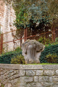 View of statue against plants