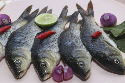 High angle view of fish with ingredients in plate