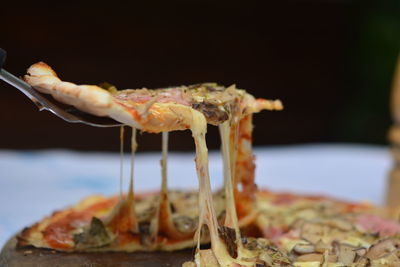 Close-up of mushrooms in plate