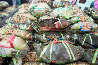 Close-up of vegetables for sale at market stall