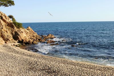 Scenic view of sea against clear sky