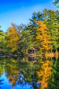 Scenic view of lake by trees during autumn