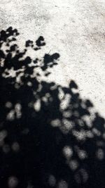 High angle view of shadow on sand