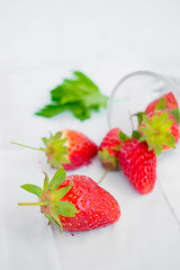 High angle view of strawberries on table against white background