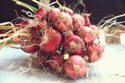 Close-up of fruits