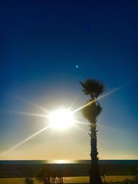 Low angle view of silhouette tree against sky during sunset