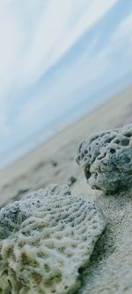 Surface level of sand on beach against sky