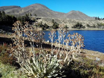 Scenic view of lake by mountains against sky