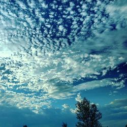 Low angle view of tree against blue sky