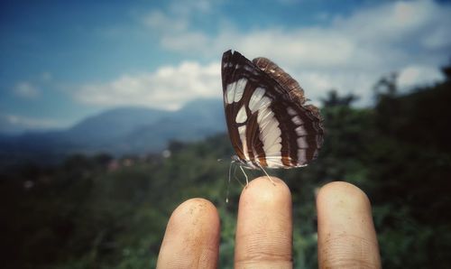 Human and butterfly interaction