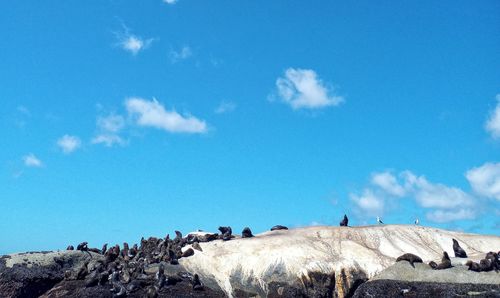 Low angle view of rocks against blue sky