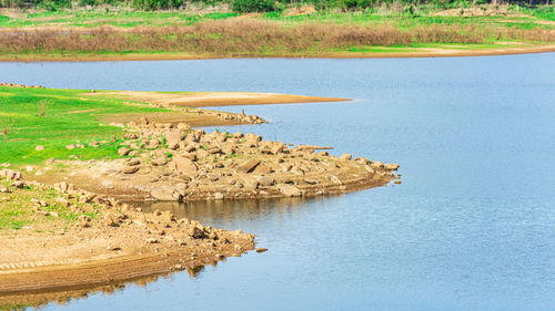 Scenic view of lake by trees