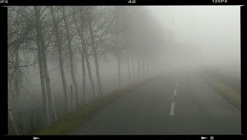 Road passing through foggy weather