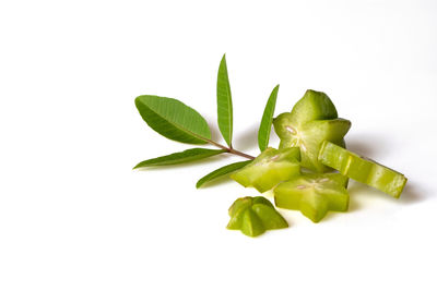 High angle view of fresh green leaves against white background