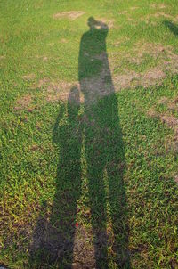 Shadow of tree on grassy field