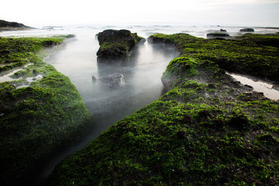 Rocks in sea