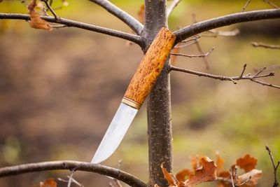 Close-up of barbed wire on fence during autumn